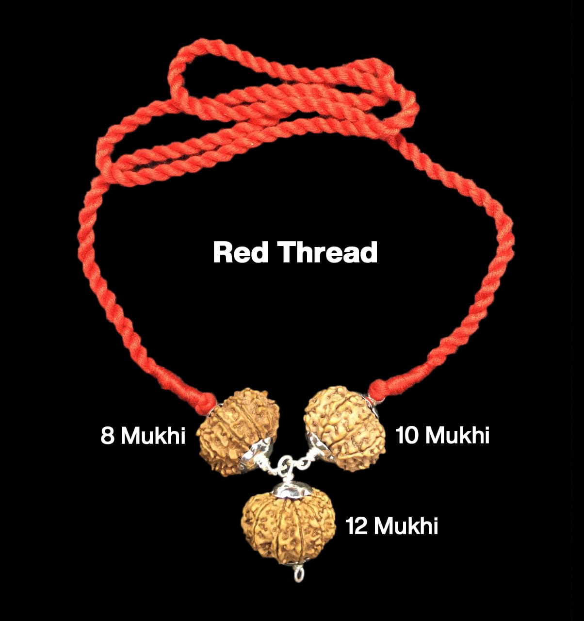 Tổ hợp Rudraksha bảo vệ 8,10,12 Mukhi Nepal bọc Bạc