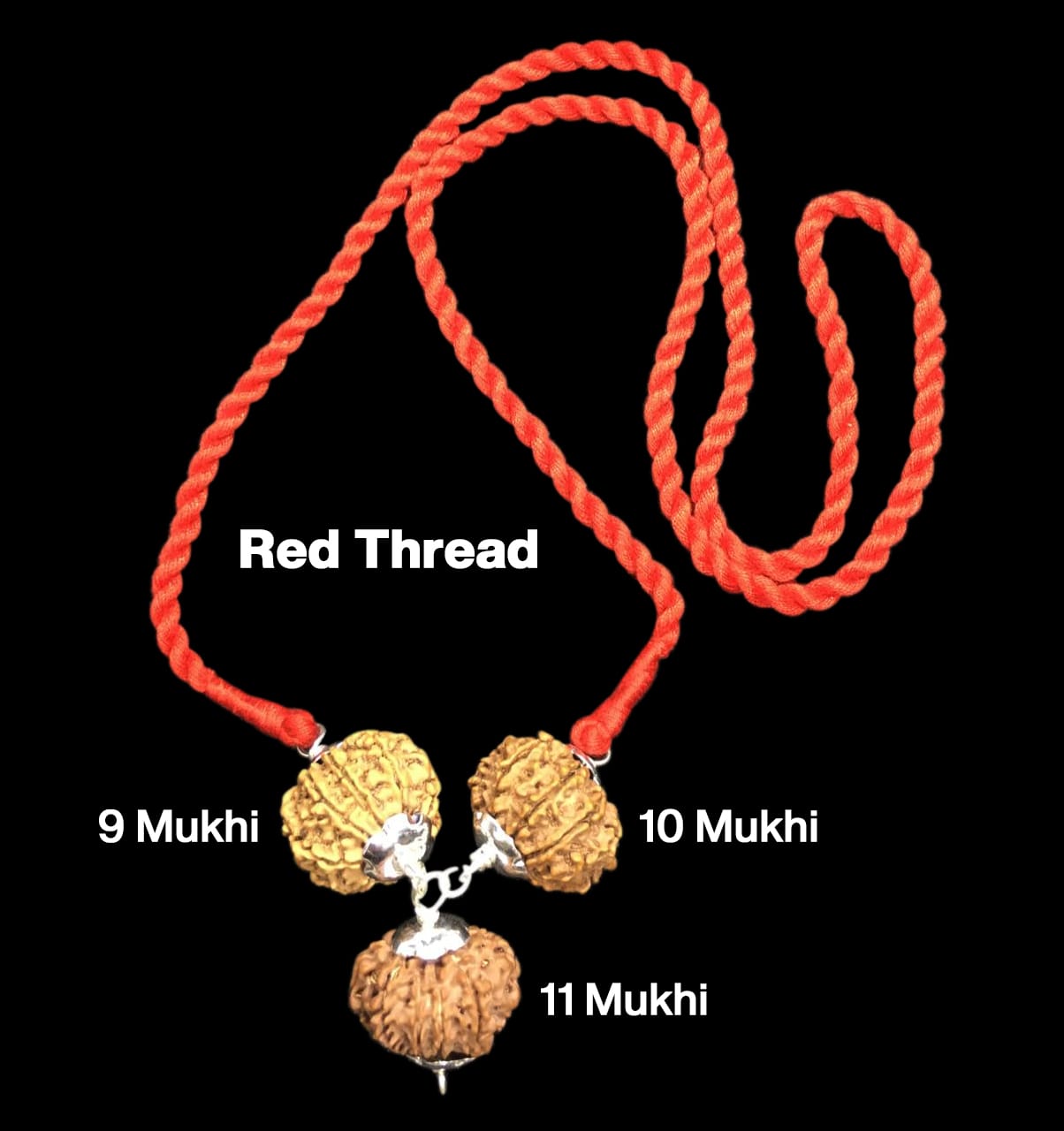 Rudraksha Combination for Total Protection – 9, 10 & 11 Mukhi (X-Ray Certified, Threaded)