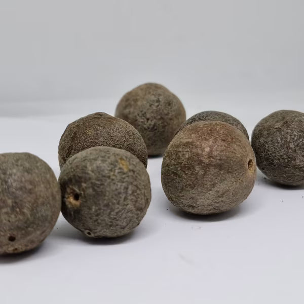 Quả Rudraksha Nepal Rudraksha thô tự nhiên (Chưa qua xử lý gốc) - Rudraksha Nâu Tự nhiên (Cỡ Lớn) Gói 5 Rudraksha