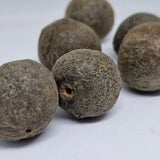 Quả Rudraksha Nepal Rudraksha thô tự nhiên (Chưa qua xử lý gốc) - Rudraksha Nâu Tự nhiên (Cỡ Lớn) Gói 5 Rudraksha