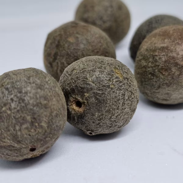Quả Rudraksha Nepal Rudraksha thô tự nhiên (Chưa qua xử lý gốc) - Rudraksha Nâu Tự nhiên (Cỡ Lớn) Gói 5 Rudraksha