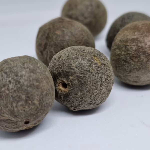 Quả Rudraksha Nepal Rudraksha thô tự nhiên (Chưa qua xử lý gốc) - Rudraksha Nâu Tự nhiên (Cỡ Lớn) Gói 5 Rudraksha