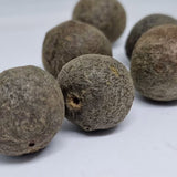 Quả Rudraksha Nepal Rudraksha thô tự nhiên (Chưa qua xử lý gốc) - Rudraksha Nâu Tự nhiên (Cỡ Lớn) Gói 5 Rudraksha