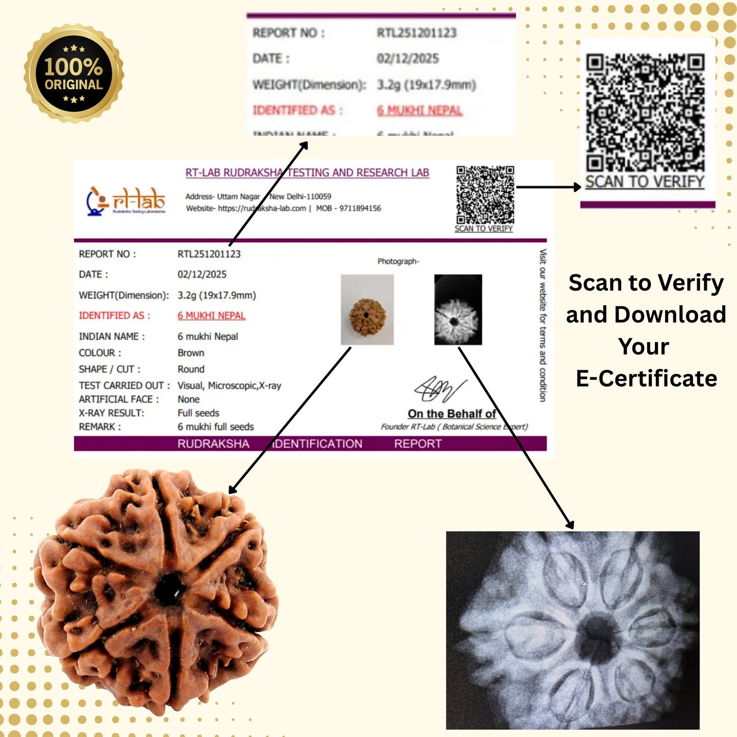 6 Mukhi Nepal Rudraksha (Full Seed) – X-Ray Certified Original Six Face Bead
