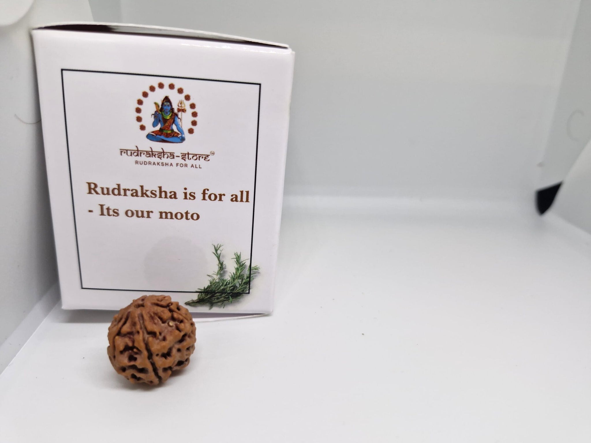 Rudraksha 5 Mukhi Nepal Chất Lượng Cao Cấp - Đặc Biệt Mừng Lễ Shivaratri - 6 chiếc