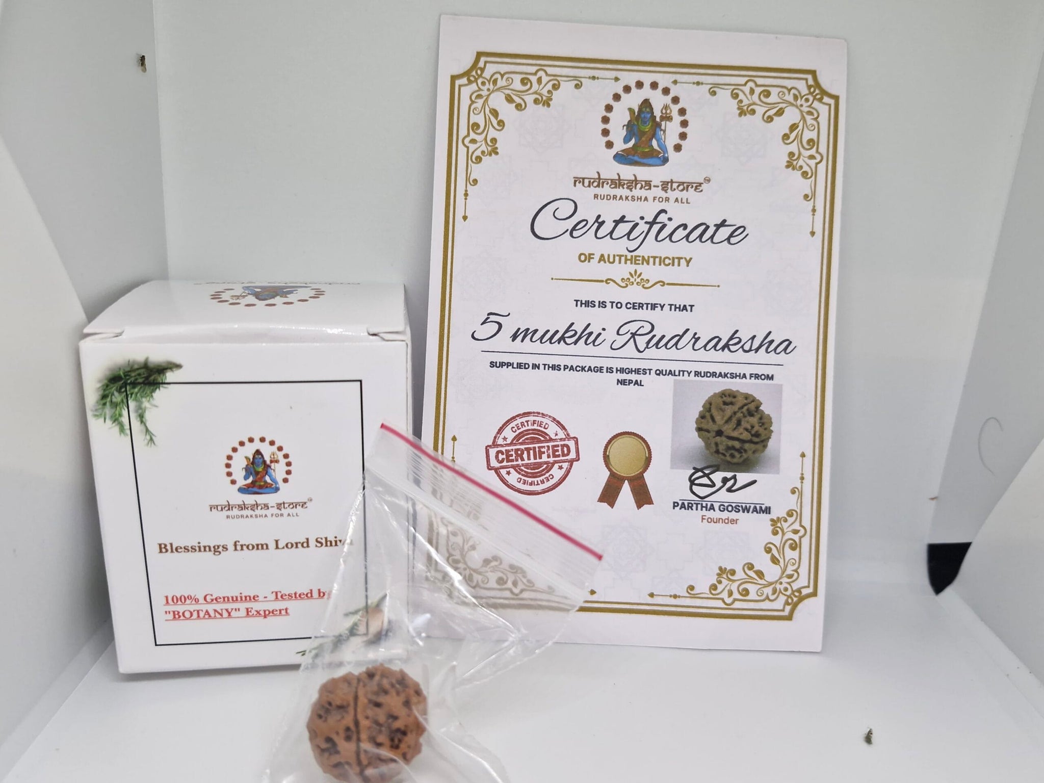 Rudraksha 5 Mukhi Nepal Chất Lượng Cao Cấp - Đặc Biệt Mừng Lễ Shivaratri - 6 chiếc