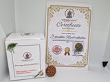Rudraksha 5 Mukhi Nepal Chất Lượng Cao Cấp - Đặc Biệt Mừng Lễ Shivaratri - 6 chiếc