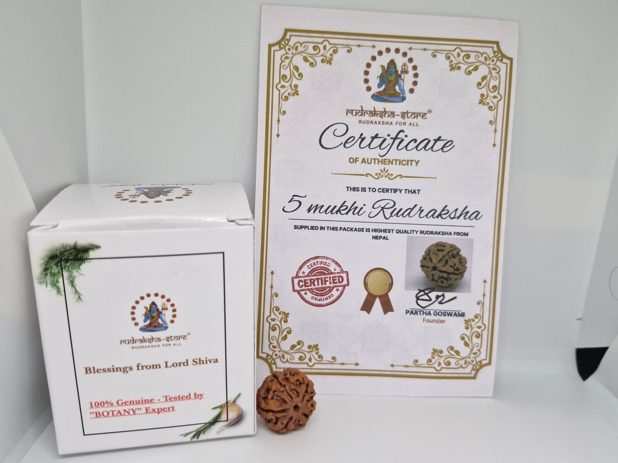 Rudraksha 5 Mukhi Nepal Chất Lượng Cao Cấp - Đặc Biệt Mừng Lễ Shivaratri - 6 chiếc