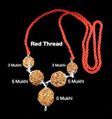 Bộ Rudraksha tăng cường sức khỏe 3,3,5,5,5 Mukhi Nepal trong Mặt dây chuyền bạc
