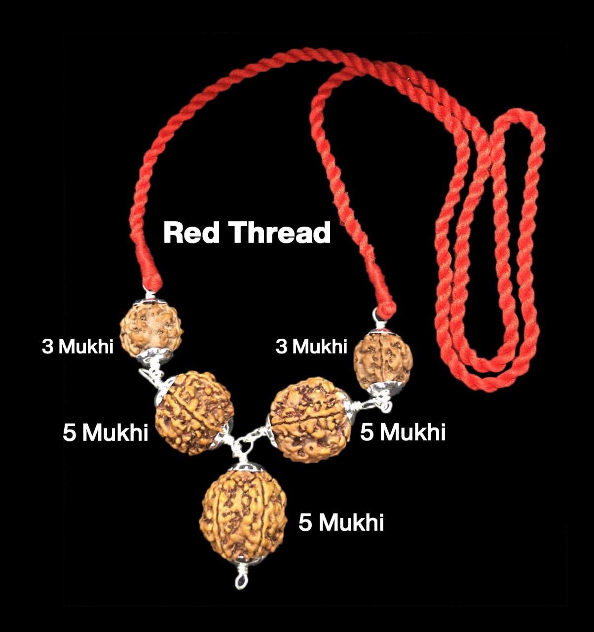 Bộ Rudraksha tăng cường sức khỏe 3,3,5,5,5 Mukhi Nepal trong Mặt dây chuyền bạc