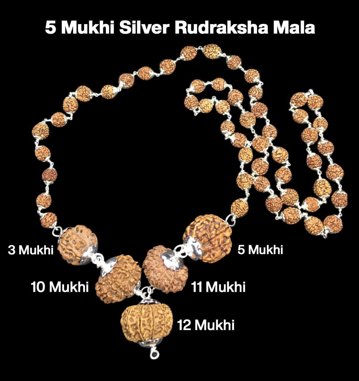 Bộ Rudraksha Navagraha Shanti 3,5,10,11,12 Mukhi Nepal Bọc Bạc