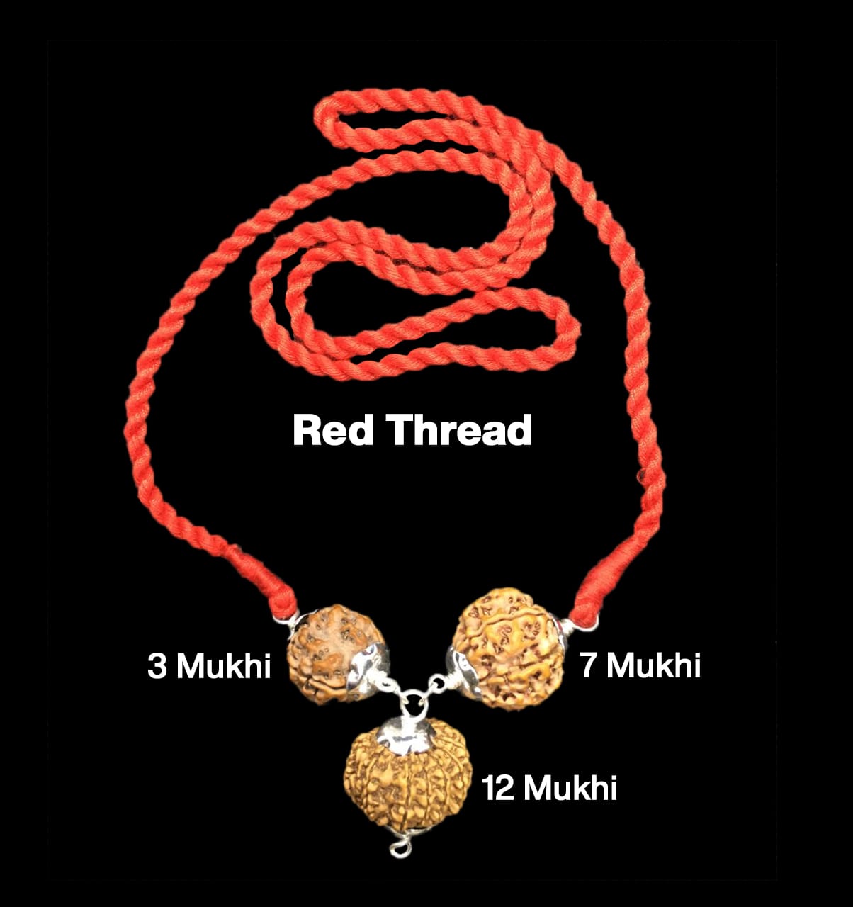 Rudraksha Combination for Career – 3, 7 & 12 Mukhi (X-Ray Certified, Threaded)
