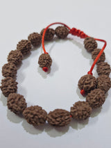Focus Bracelet for Clarity & Memory – 4 Mukhi Rudraksha (27 Beads)
