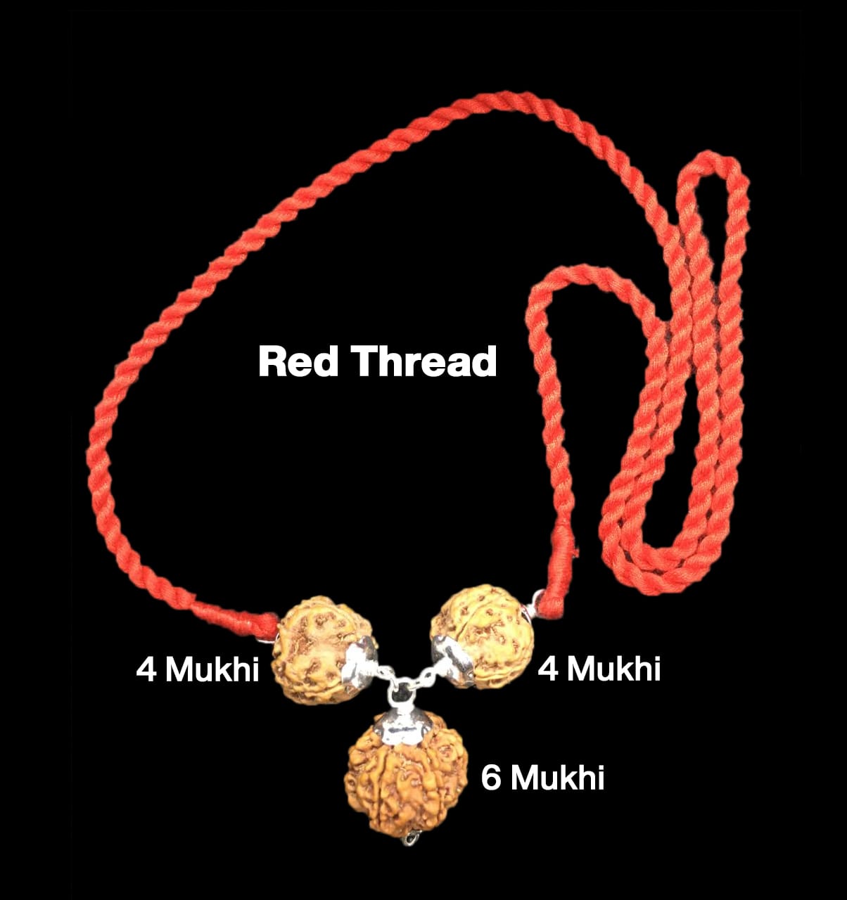 Mặt dây chuyền bạc Rudraksha kết hợp 4,4,6 Mukhi Nepal dành cho học sinh