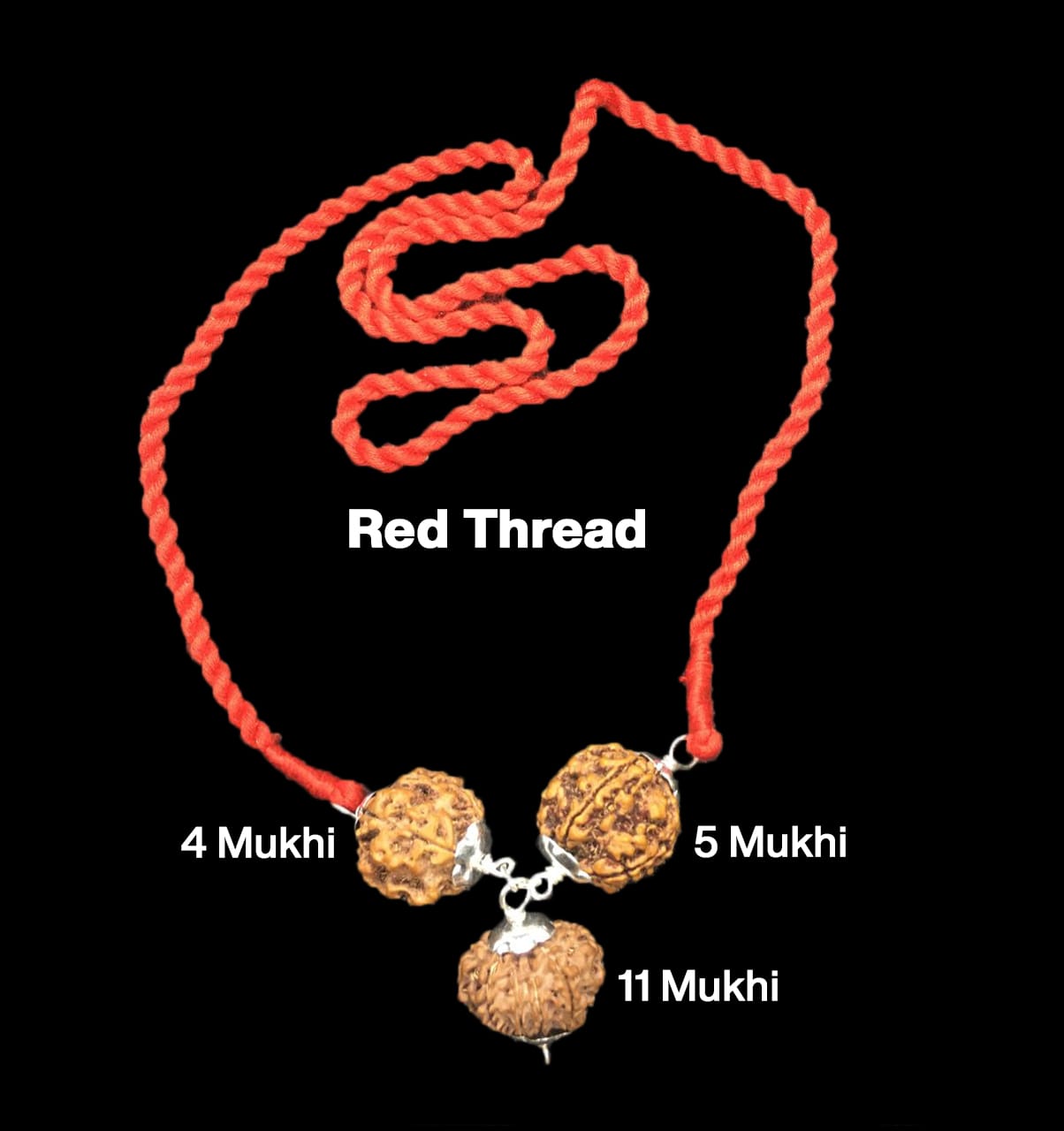 Rudraksha Combination for Wisdom – 4, 5 & 11 Mukhi (X-Ray Certified, Threaded)