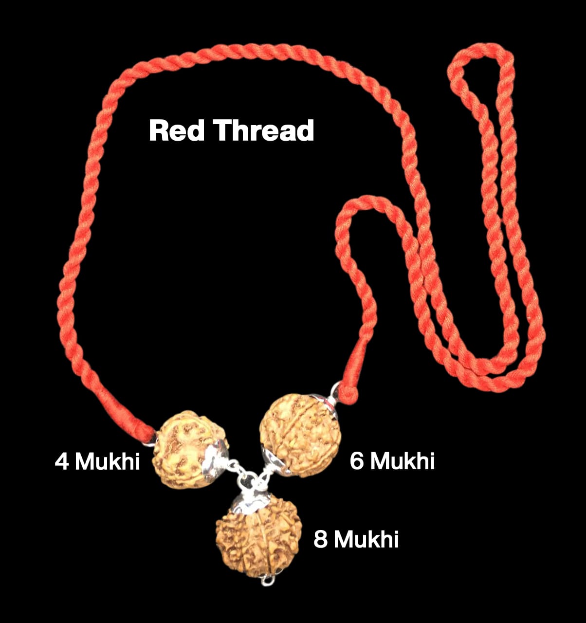 Rudraksha Combination for Creativity – 4, 6 & 8 Mukhi (X-Ray Certified, Threaded)
