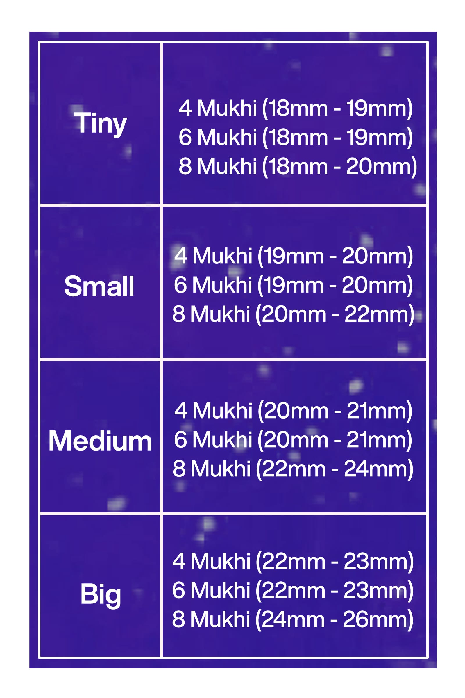 Rudraksha Combination for Creativity – 4, 6 & 8 Mukhi (X-Ray Certified, Threaded)