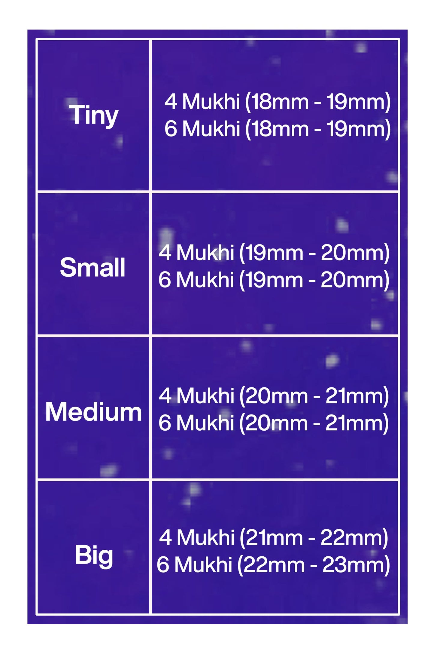 Mặt dây chuyền bạc Rudraksha kết hợp 4,4,6 Mukhi Nepal dành cho học sinh