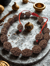 4 Mukhi Indonesian Rudraksha Bracelet (27 Beads) – X-Ray Certified Sample Beads for Focus, Learning & Clarity