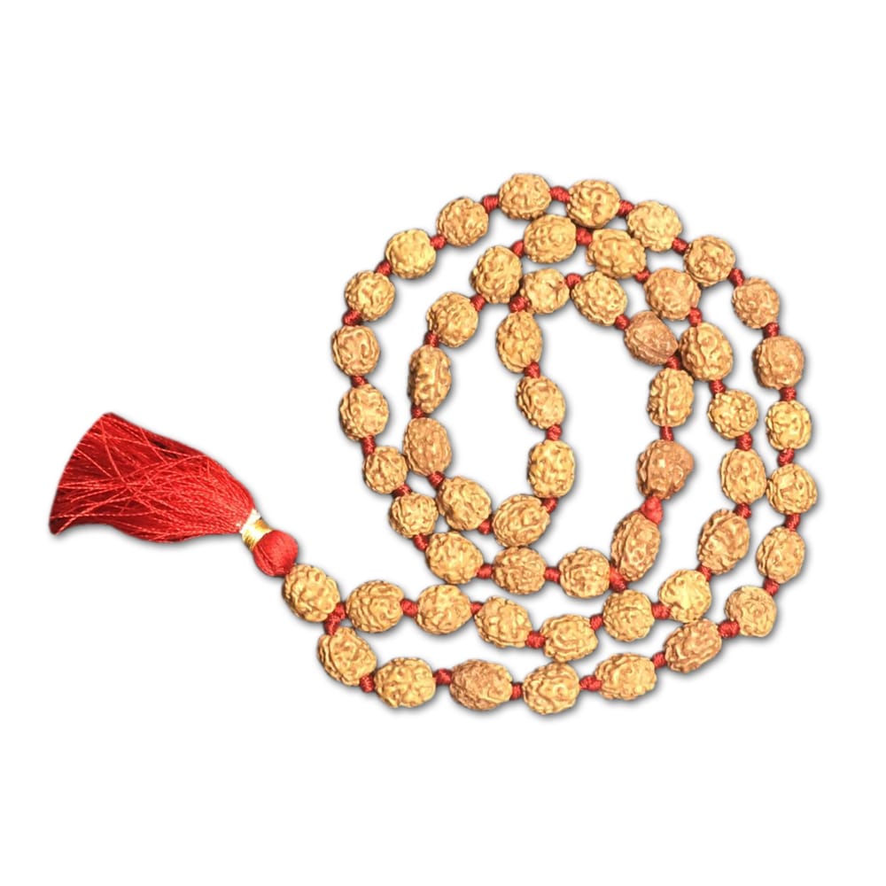 Chuỗi tràng hạt Rudraksha 4 Mukhi Indonesia 54 hạt (12mm-14mm)