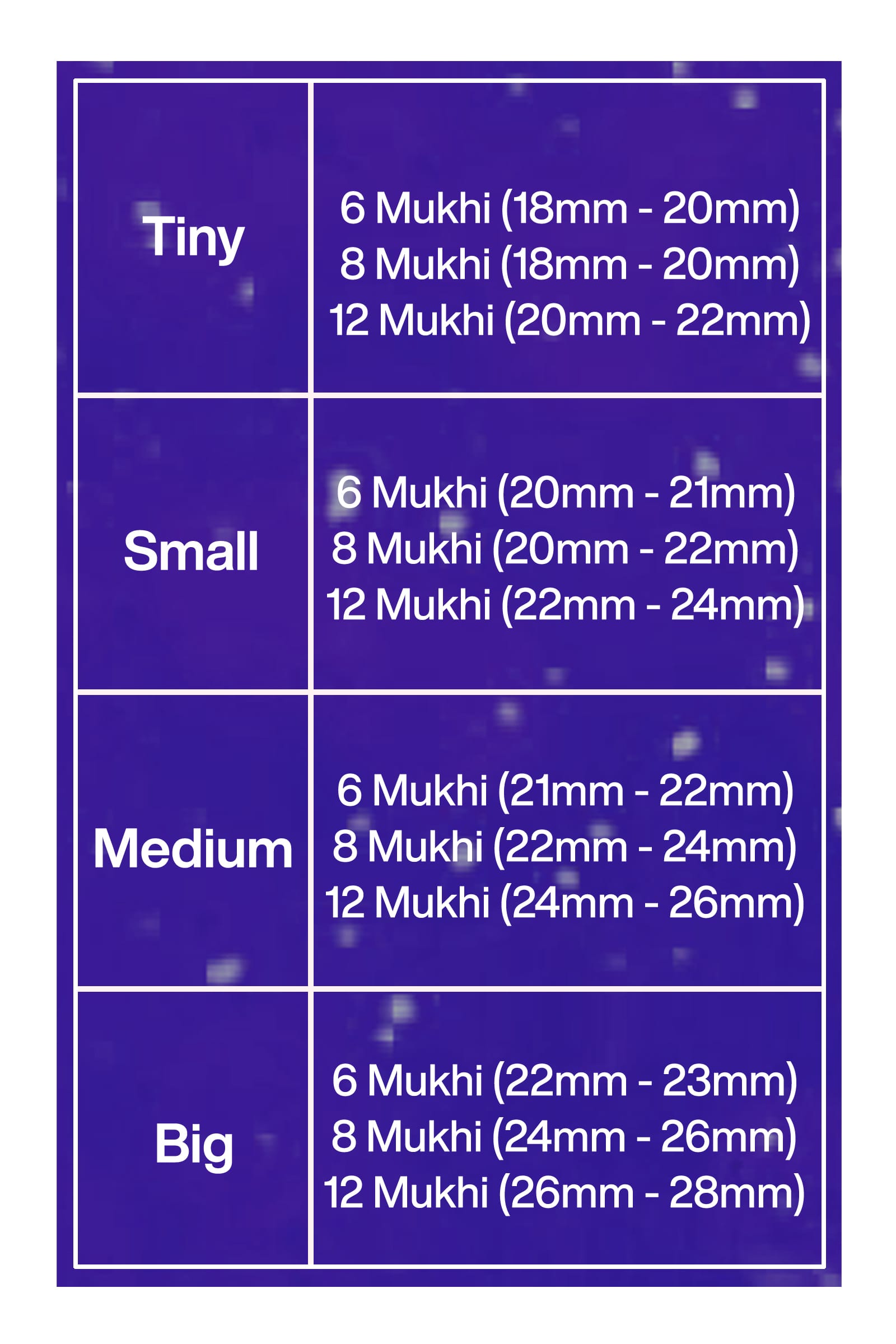 Rudraksha Combination for Business – 6, 8 & 12 Mukhi (X-Ray Certified, Threaded)
