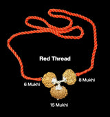Rudraksha Combination for Business – 6, 8 & 15 Mukhi (X-Ray Certified, Threaded)