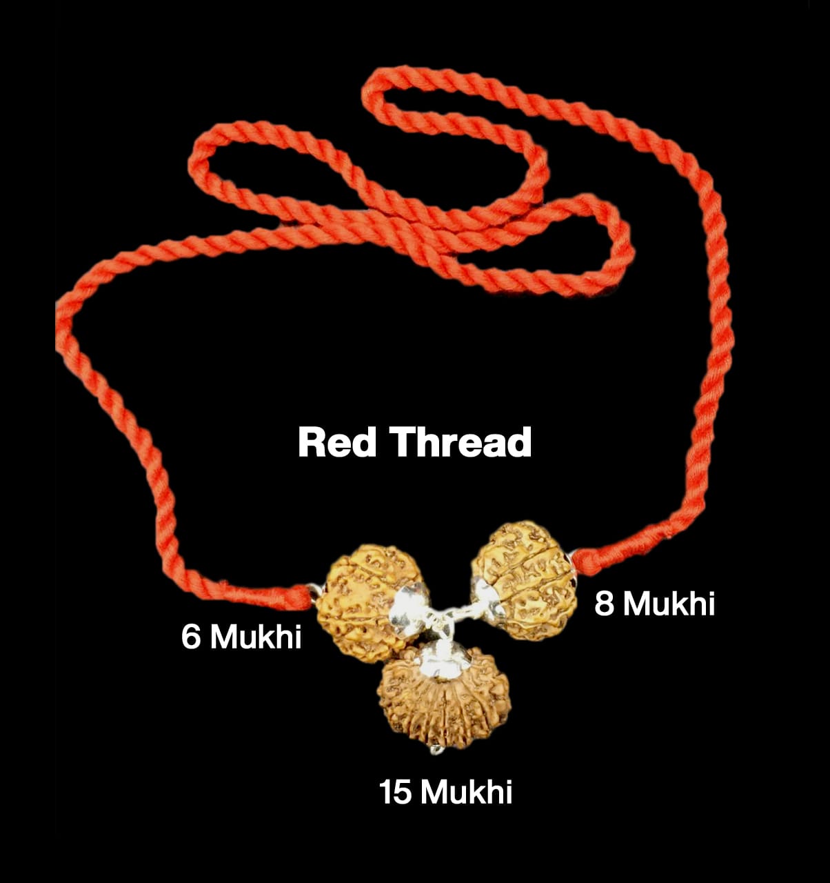 Rudraksha Combination for Business – 6, 8 & 15 Mukhi (X-Ray Certified, Threaded)