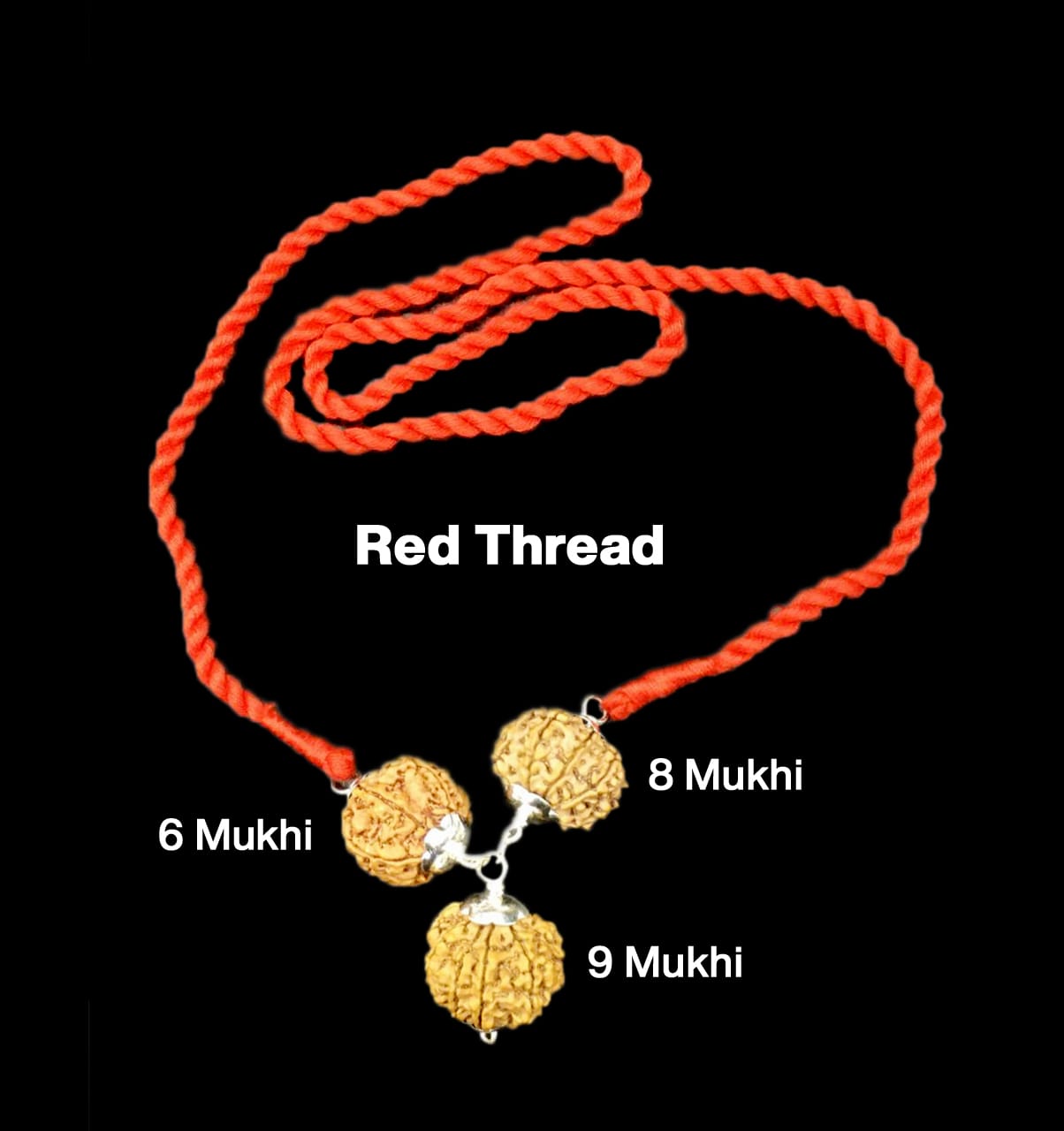 Mặt dây chuyền bạc Rudraksha Nepal kết hợp 6,8,9 Mukhi dành cho nữ doanh nhân
