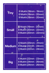 For Females in Business – 6, 8 & 9 Mukhi Rudraksha Combination (Nepal + Indonesian, Premium Thread Set)