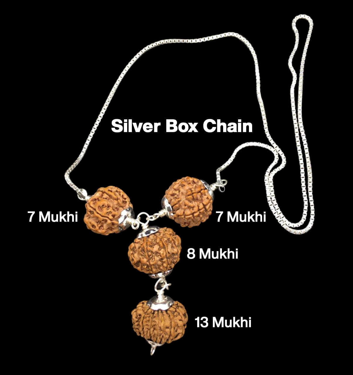 Rudraksha Combination for Business Power (Marketing & Trading) – 7, 7, 8 & 13 Mukhi (X-Ray Certified, Threaded)