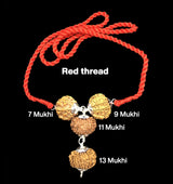 Rudraksha Combination for Wealth – 7, 9, 11 & 13 Mukhi (X-Ray Certified, Threaded)