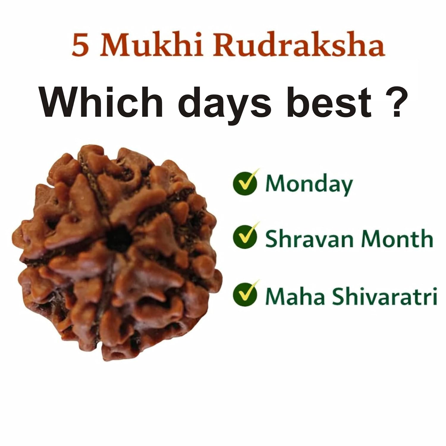 5 Mukhi Nepal Rudraksha (20–21mm) – Full Seed, X-Ray Certified Original Bead