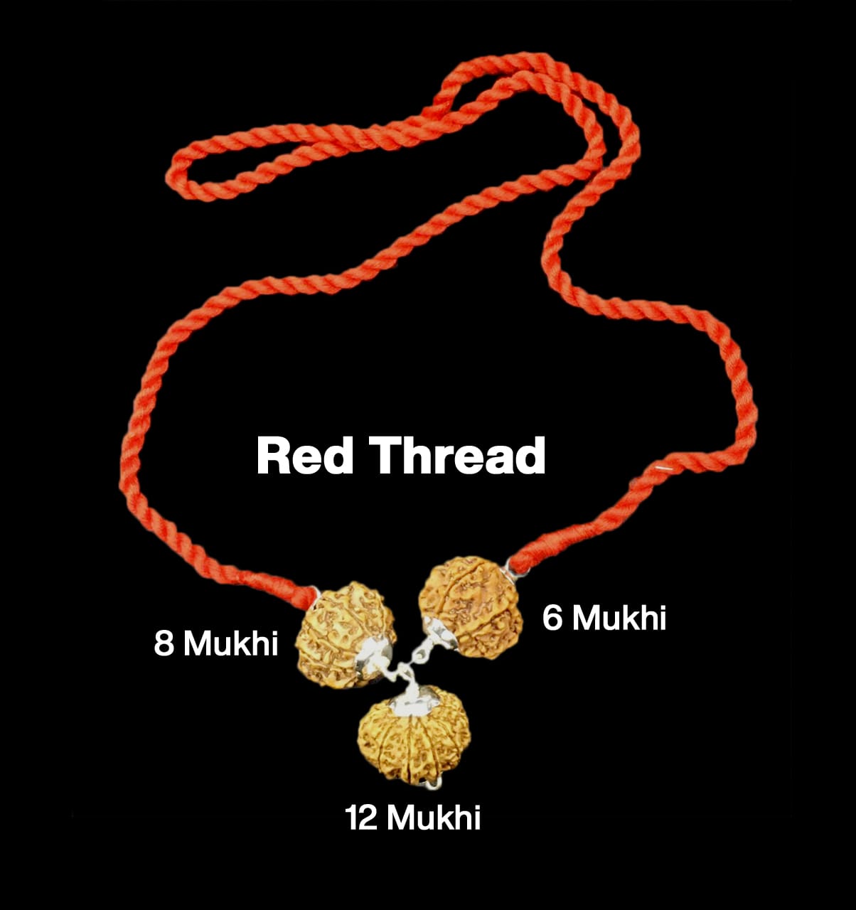 Rudraksha Combination for Business – 6, 8 & 12 Mukhi (X-Ray Certified, Threaded)