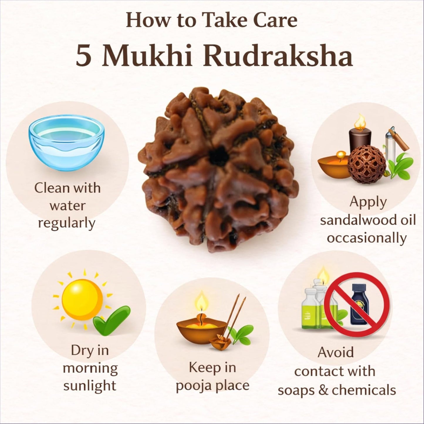 5 Mukhi Nepal Rudraksha (20–21mm) – Full Seed, X-Ray Certified Original Bead