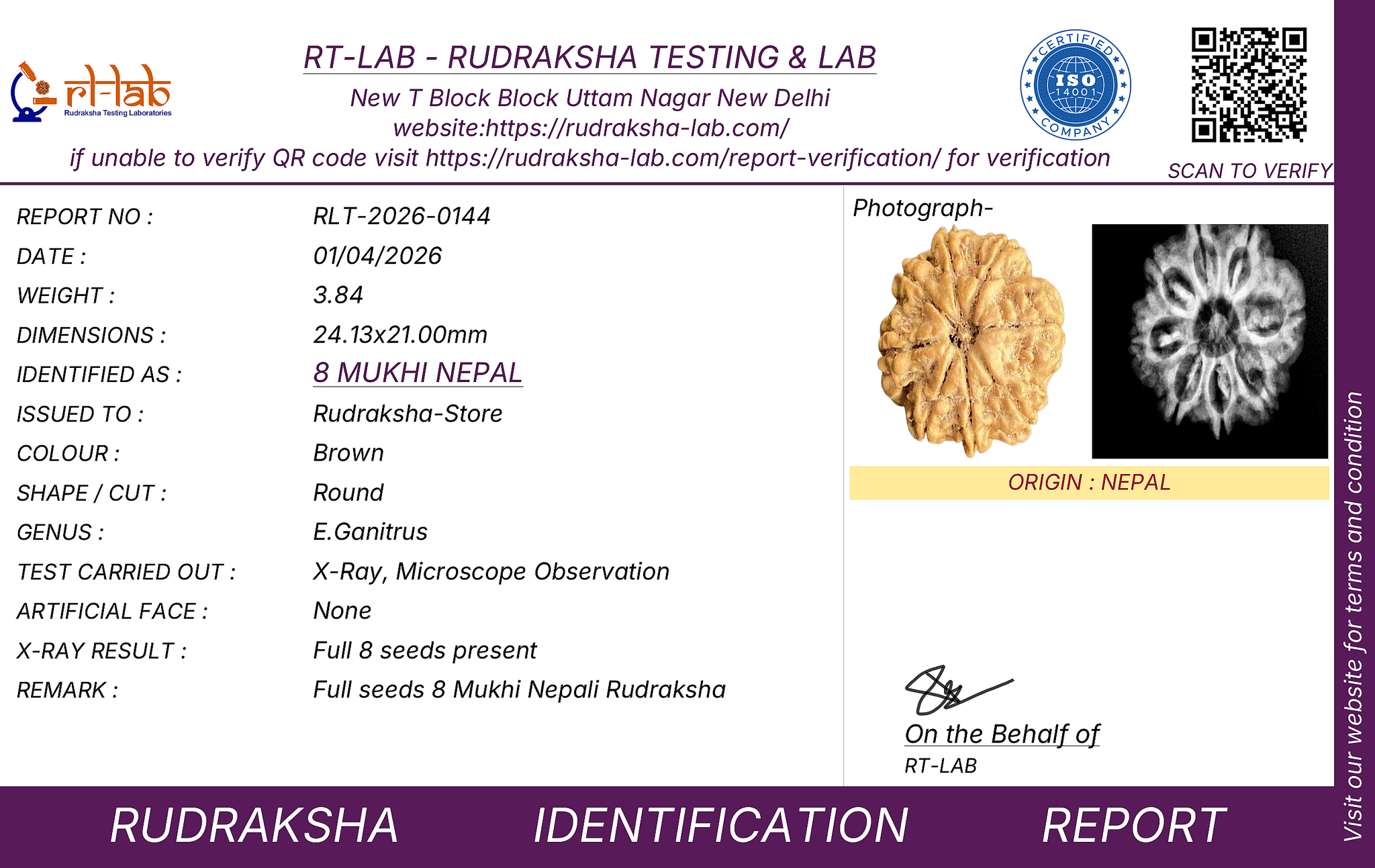 8 Mukhi Nepal Rudraksha (Full Seed) – X-Ray Certified Bead for Success, Obstacle Removal & Protection