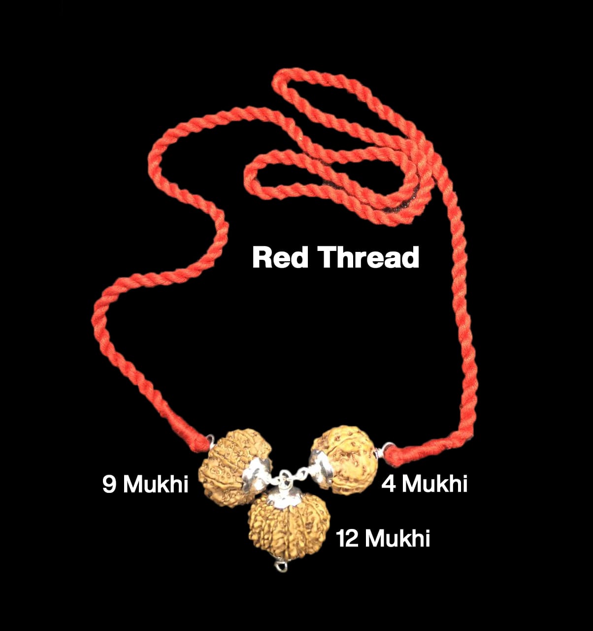 Bộ Rudraksha cho Bác sĩ 4,9,12 Mukhi Nepal bọc Bạc