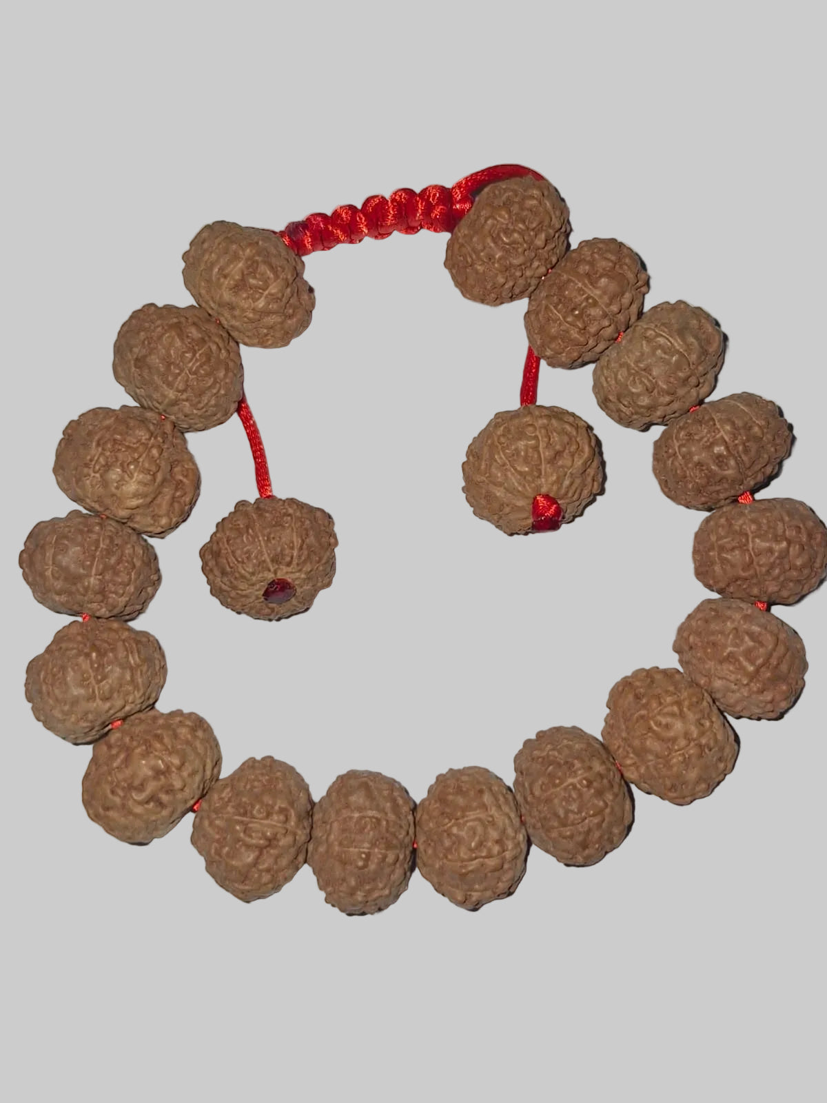 Fearless Spirit Bracelet – 9 Mukhi Indonesian Rudraksha (27 Beads)