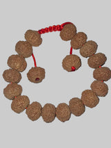 Fearless Spirit Bracelet – 9 Mukhi Indonesian Rudraksha (27 Beads)