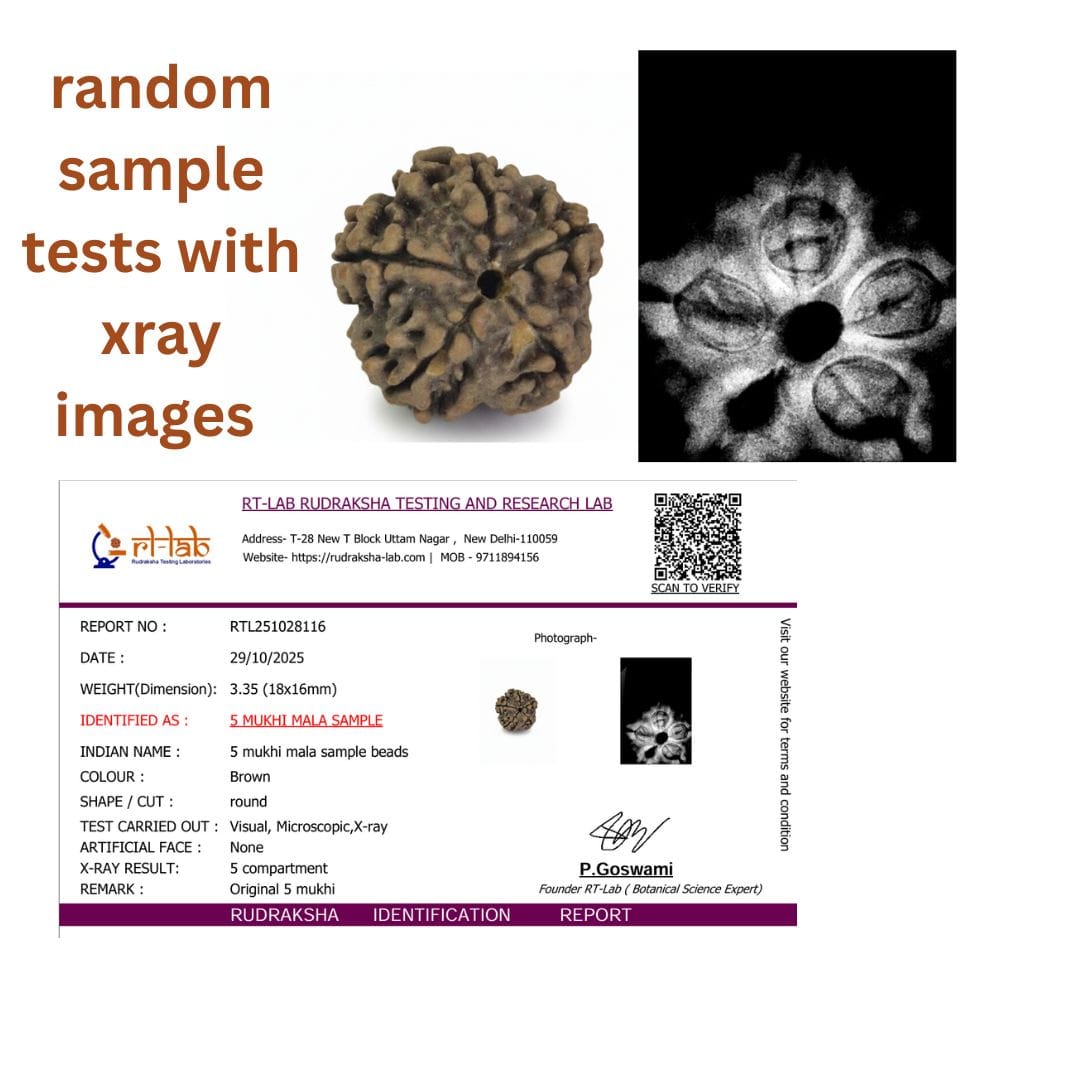 🕉️ Chuỗi Hạt Rudraksha Nepal 5 Mukhi – 54 + 1 Hạt (18–19 mm, Chứng nhận Phòng thí nghiệm & Xác minh bằng X-quang)