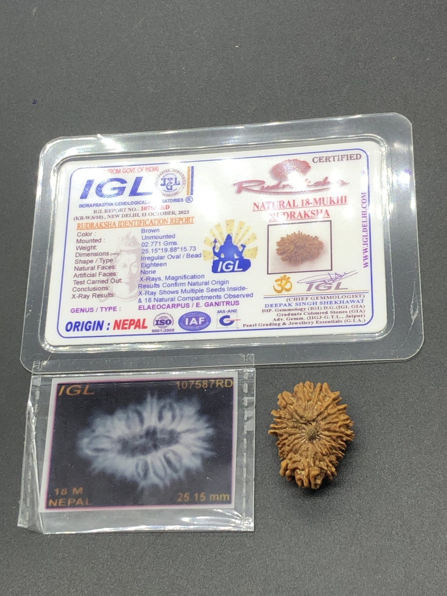18 Mukhi Nepal Rudraksha 18 mặt 25.15mm 2.77 GMS