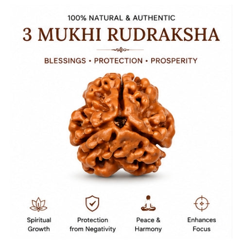 🕉️ 3 Mukhi Nepal Rudraksha – Powerful Symbol of Purity, Courage & Karmic Cleansing