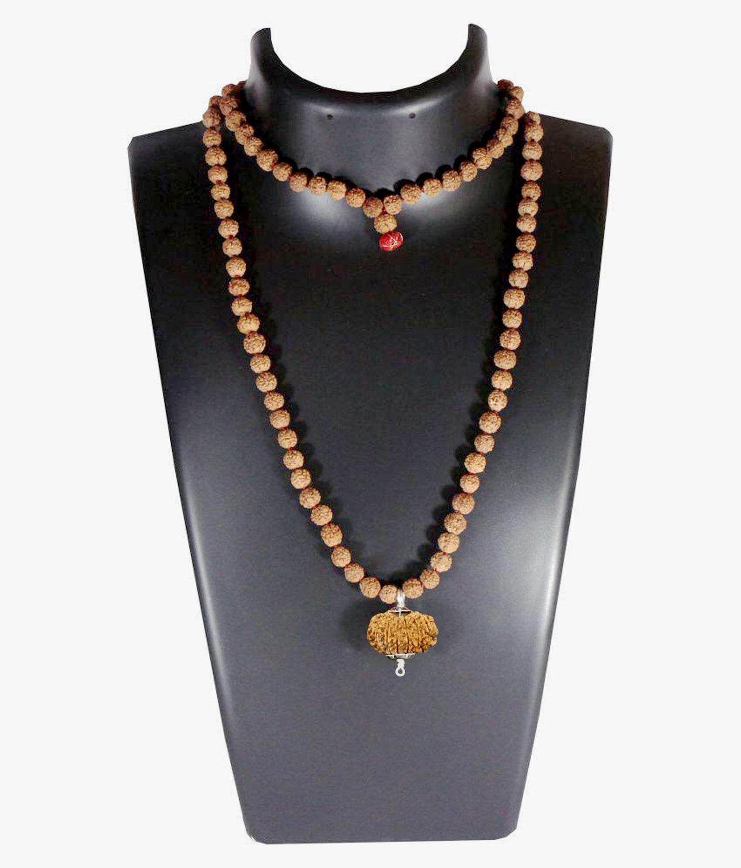 11 Mukhi Nepal Rudraksha gắn trong chuỗi Rudraksha Mala