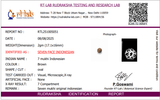 Rudraksha 7 Mukhi Indonesia 17mm+ – Hạt nguyên vẹn được kiểm định trong phòng thí nghiệm kèm chứng nhận X-quang | Rudraksha-Store