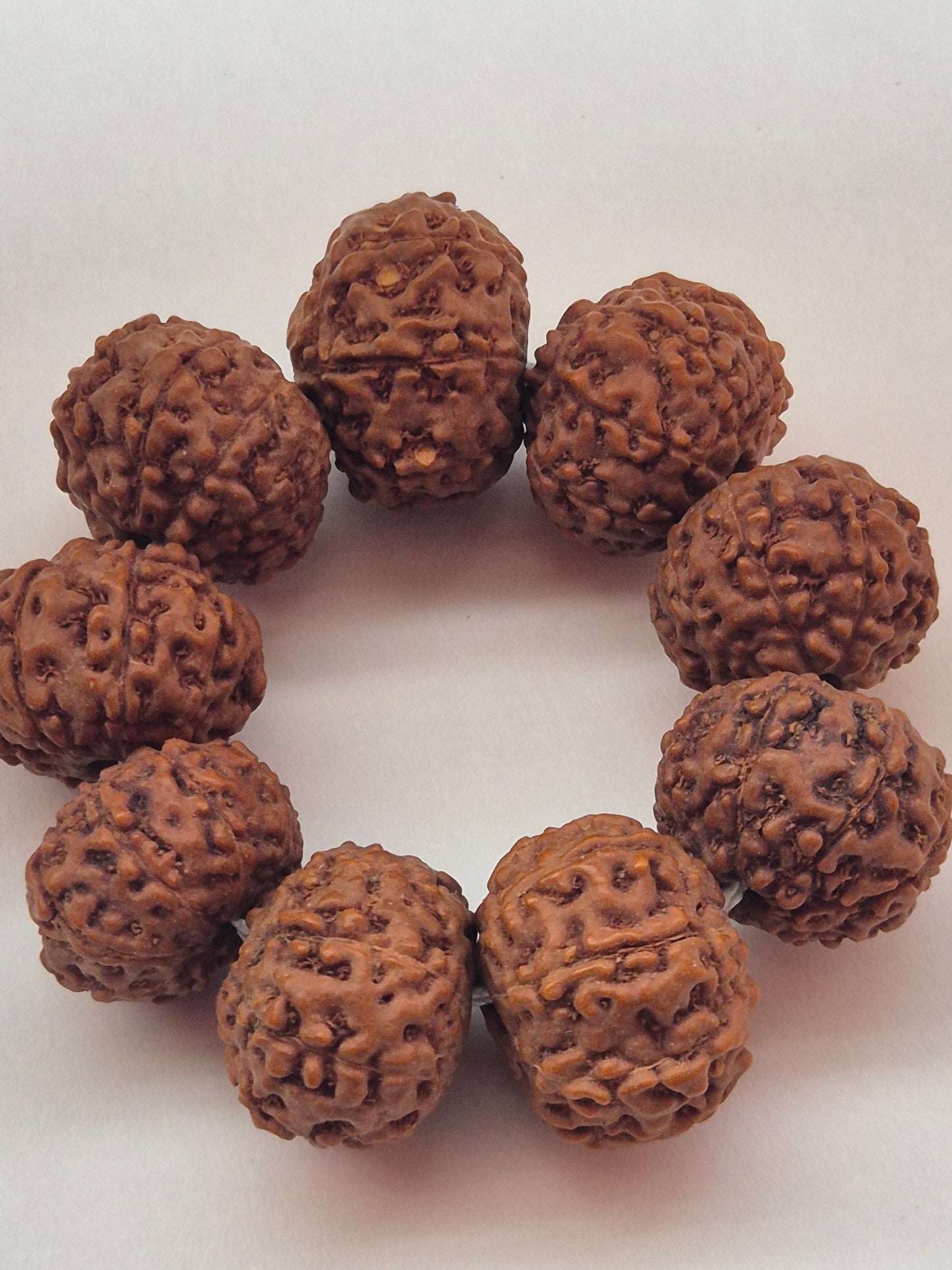 7 & 8 Mukhi Rudraksha Combo (11–14 mm) – X-Ray Certified Beads for Wealth, Business Growth & Success