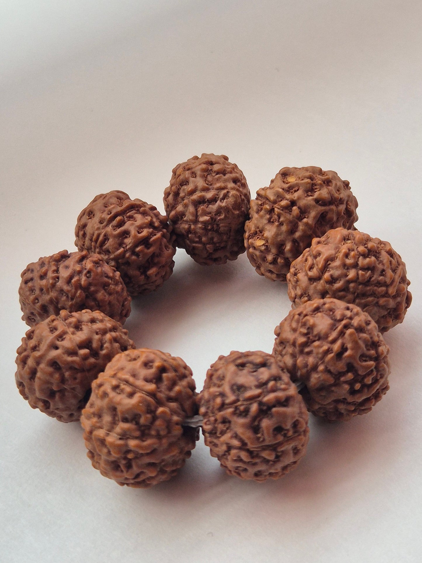 7 & 8 Mukhi Rudraksha Combo (11–14 mm) – X-Ray Certified Beads for Wealth, Business Growth & Success