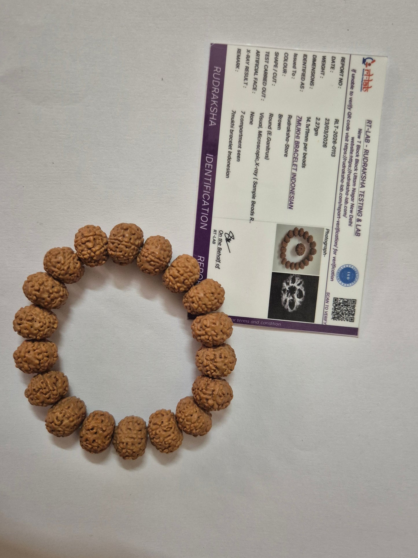 Indonesian 7 Mukhi Rudraksha Wealth Bracelet | 11–14mm | X-Ray Sample Certified