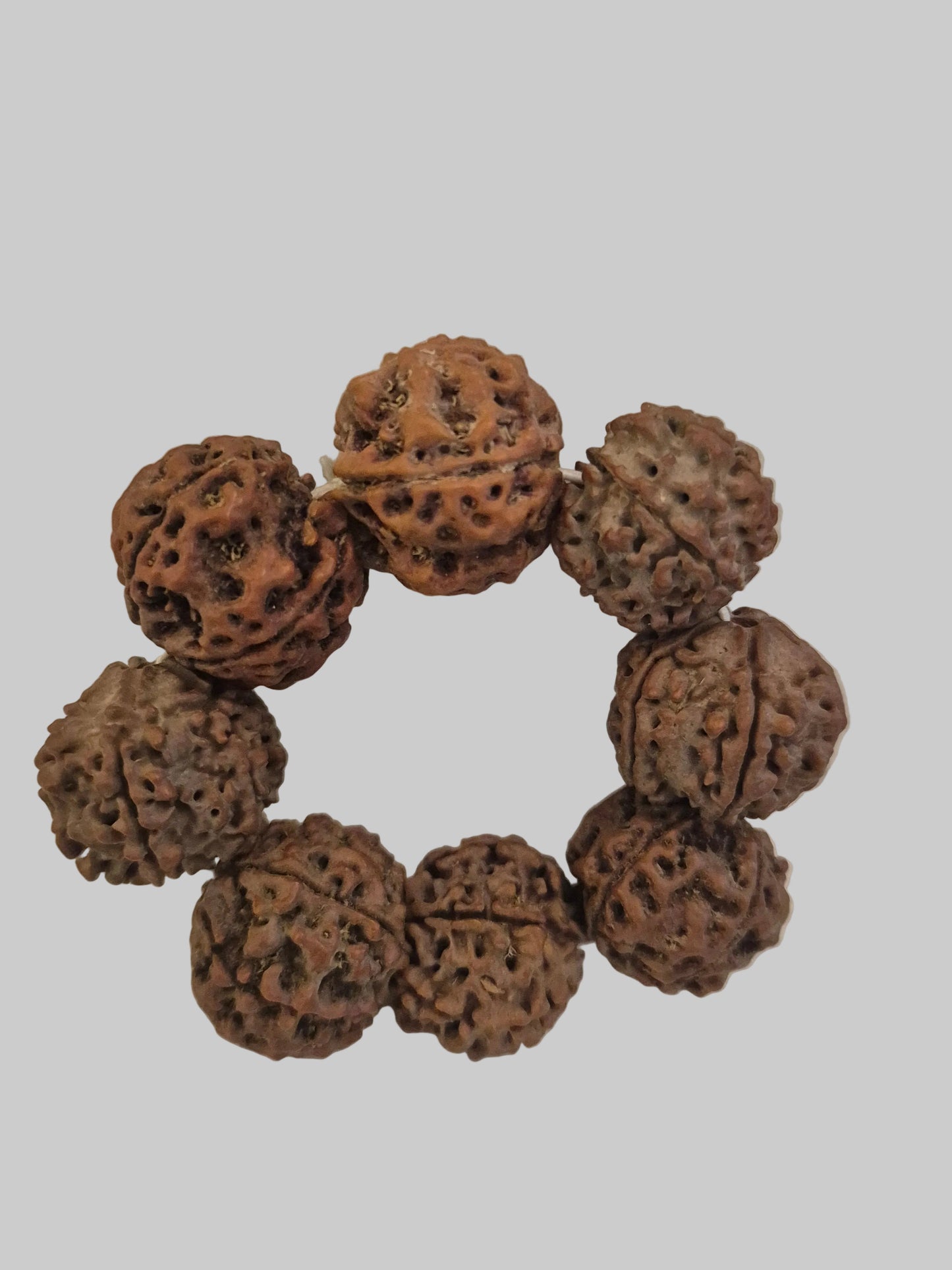 5 Mukhi Nepal Rudraksha Bracelet (18–20 mm) – X-Ray Certified Guru Beads for Balance & Protection