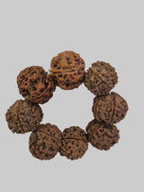 5 Mukhi Nepal Rudraksha Bracelet (18–20 mm) – X-Ray Certified Guru Beads for Balance & Protection