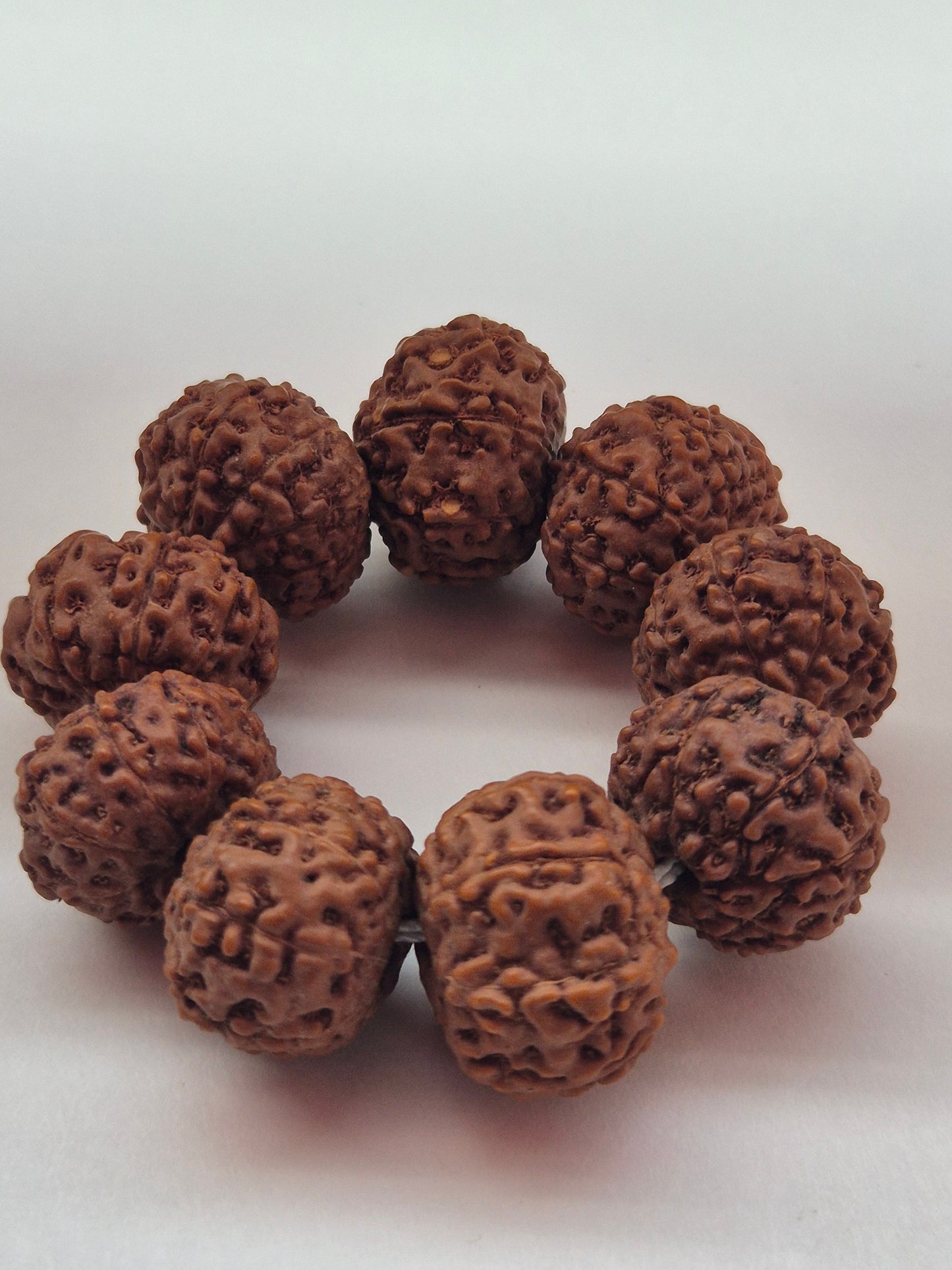 7 & 8 Mukhi Rudraksha Combo (11–14 mm) – X-Ray Certified Beads for Wealth, Business Growth & Success