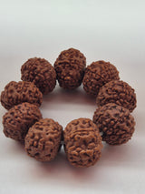 7 & 8 Mukhi Rudraksha Combo (11–14 mm) – X-Ray Certified Beads for Wealth, Business Growth & Success